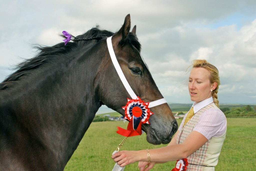 riding Welsh cob section D Alys