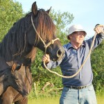 Emyr Evans Nobby, Welsh cob mare part-bred foal.