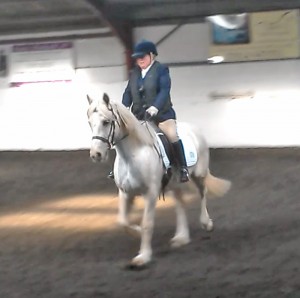 Blodyn, Aberaeron welsh cob dressage, performance