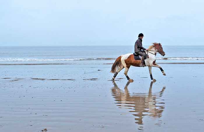 Misun, horse enjoying a beach-ride!