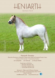 Heniarth Stud WPCS Journal Advert, 2018.